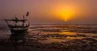 Arabian Sea Views